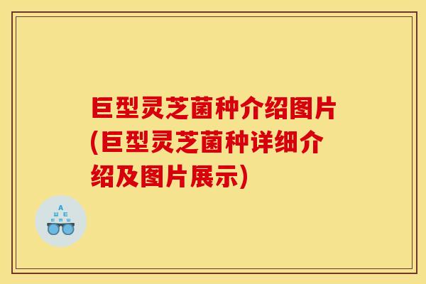 巨型灵芝菌种介绍图片(巨型灵芝菌种详细介绍及图片展示)