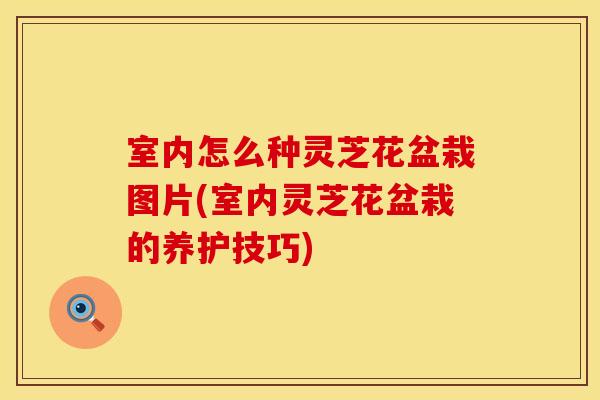 室内怎么种灵芝花盆栽图片(室内灵芝花盆栽的养护技巧)
