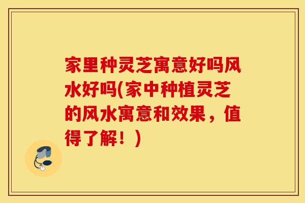 家里种灵芝寓意好吗风水好吗(家中种植灵芝的风水寓意和效果，值得了解！)