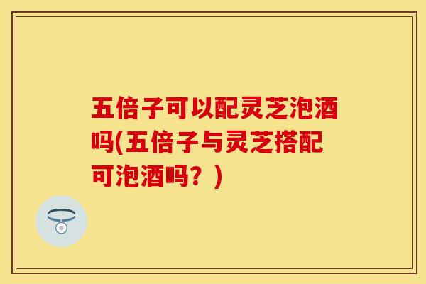 五倍子可以配灵芝泡酒吗(五倍子与灵芝搭配可泡酒吗？)