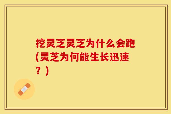 挖灵芝灵芝为什么会跑(灵芝为何能生长迅速？)