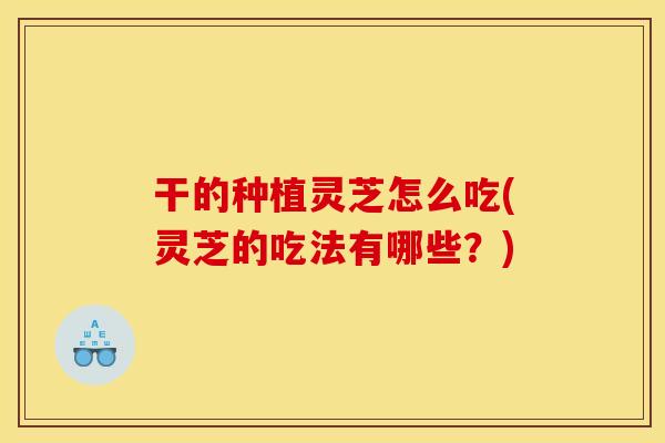 干的种植灵芝怎么吃(灵芝的吃法有哪些？)