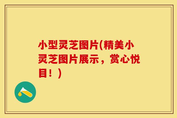 小型灵芝图片(精美小灵芝图片展示，赏心悦目！)
