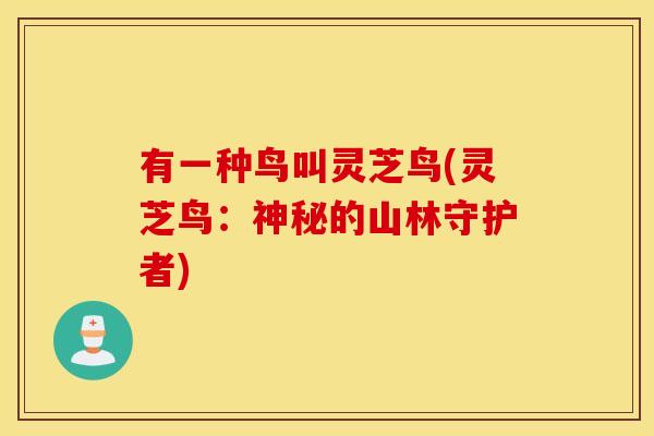 有一种鸟叫灵芝鸟(灵芝鸟：神秘的山林守护者)