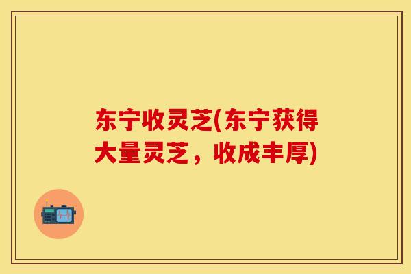东宁收灵芝(东宁获得大量灵芝，收成丰厚)