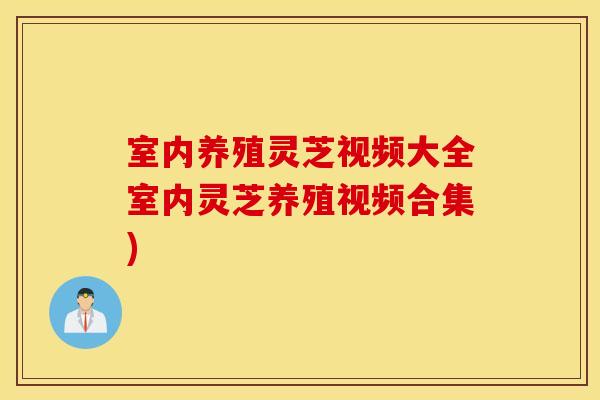 室内养殖灵芝视频大全室内灵芝养殖视频合集)