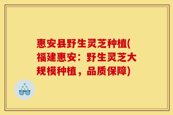 惠安县野生灵芝种植(福建惠安：野生灵芝大规模种植，品质保障)