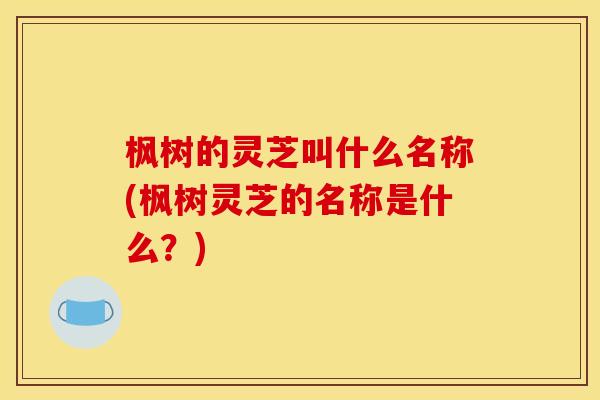 枫树的灵芝叫什么名称(枫树灵芝的名称是什么？)
