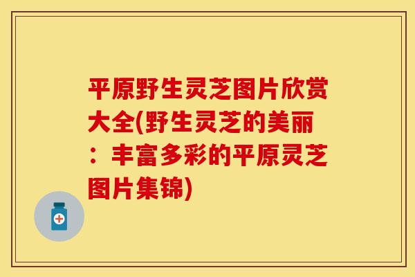 平原野生灵芝图片欣赏大全(野生灵芝的美丽：丰富多彩的平原灵芝图片集锦)