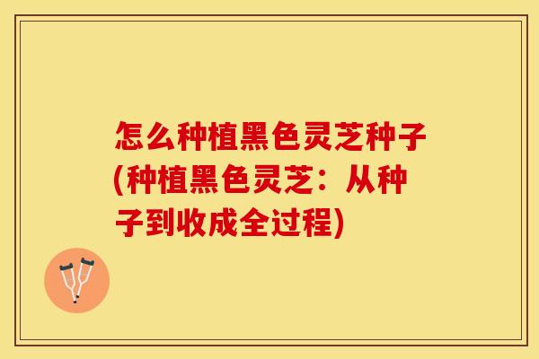 怎么种植黑色灵芝种子(种植黑色灵芝：从种子到收成全过程)