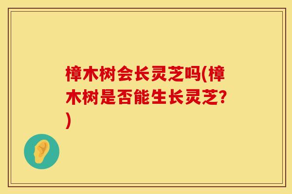 樟木树会长灵芝吗(樟木树是否能生长灵芝？)