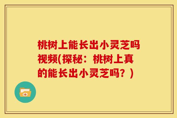 桃树上能长出小灵芝吗视频(探秘：桃树上真的能长出小灵芝吗？)