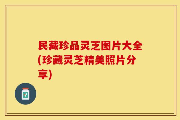 民藏珍品灵芝图片大全(珍藏灵芝精美照片分享)