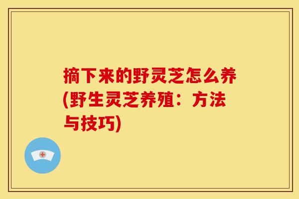 摘下来的野灵芝怎么养(野生灵芝养殖：方法与技巧)