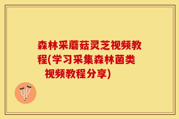 森林采蘑菇灵芝视频教程(学习采集森林菌类  视频教程分享)