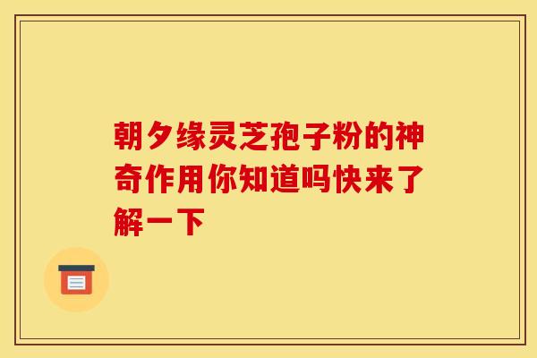 朝夕缘灵芝孢子粉的神奇作用你知道吗快来了解一下