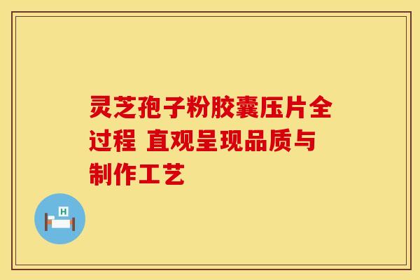 灵芝孢子粉胶囊压片全过程 直观呈现品质与制作工艺