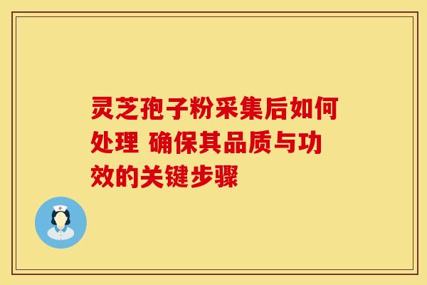 灵芝孢子粉采集后如何处理 确保其品质与功效的关键步骤