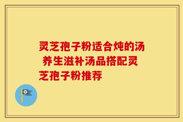 灵芝孢子粉适合炖的汤 养生滋补汤品搭配灵芝孢子粉推荐