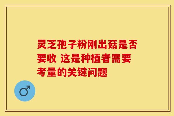 灵芝孢子粉刚出菇是否要收 这是种植者需要考量的关键问题