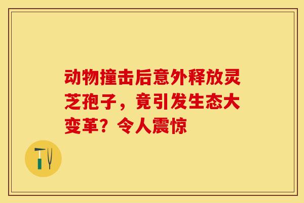动物撞击后意外释放灵芝孢子，竟引发生态大变革？令人震惊