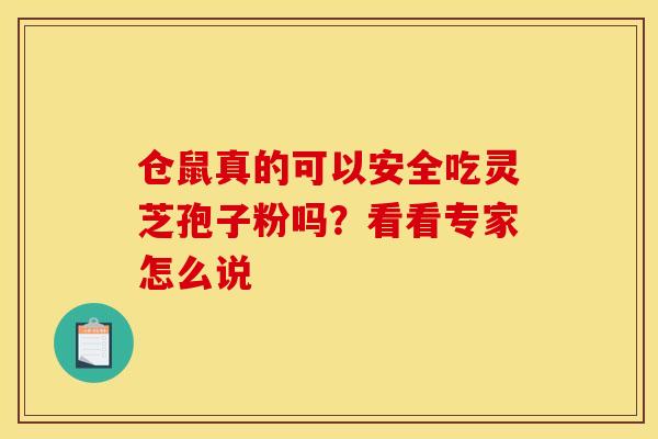仓鼠真的可以安全吃灵芝孢子粉吗？看看专家怎么说