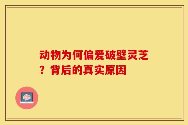 动物为何偏爱破壁灵芝？背后的真实原因