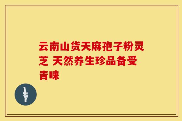 云南山货天麻孢子粉灵芝 天然养生珍品备受青睐
