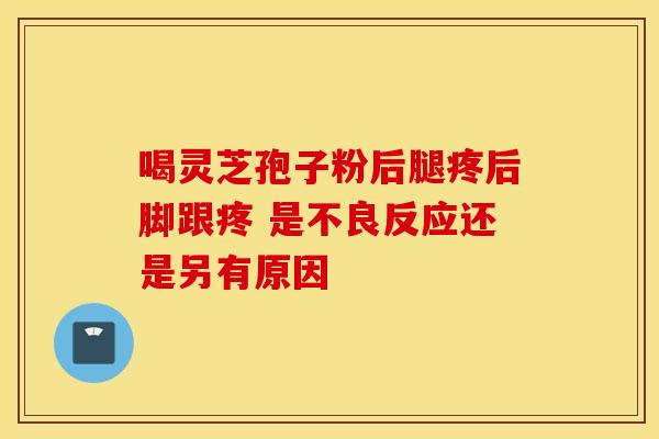喝灵芝孢子粉后腿疼后脚跟疼 是不良反应还是另有原因