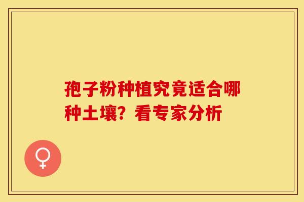 孢子粉种植究竟适合哪种土壤？看专家分析