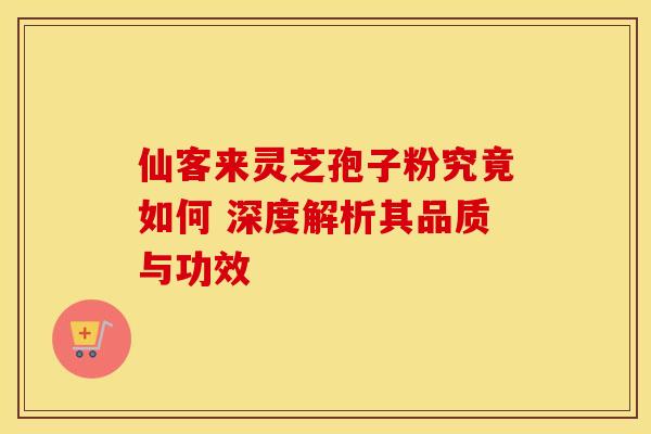 仙客来灵芝孢子粉究竟如何 深度解析其品质与功效