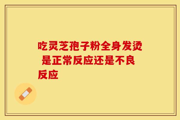 吃灵芝孢子粉全身发烫 是正常反应还是不良反应