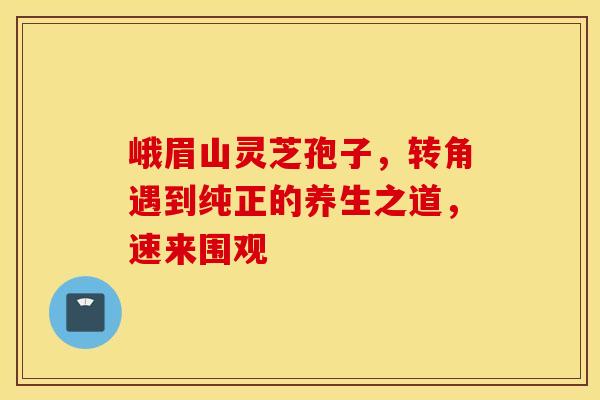 峨眉山灵芝孢子，转角遇到纯正的养生之道，速来围观