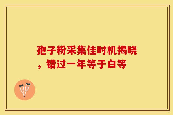 孢子粉采集佳时机揭晓，错过一年等于白等