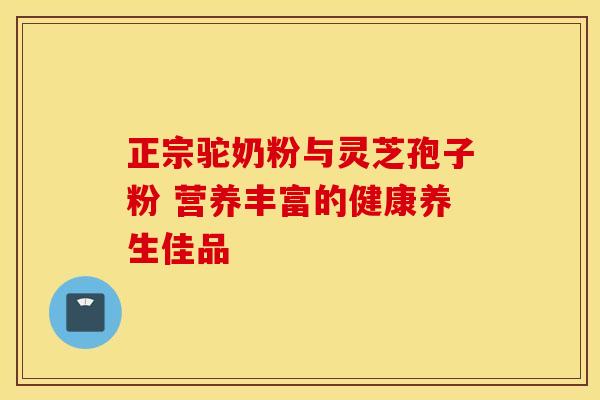 正宗驼奶粉与灵芝孢子粉 营养丰富的健康养生佳品