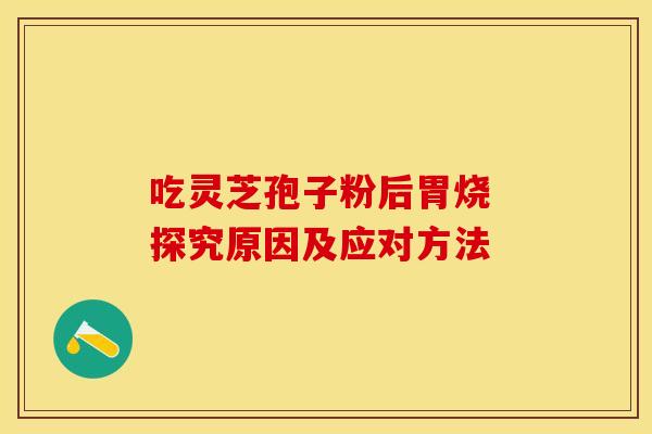 吃灵芝孢子粉后胃烧 探究原因及应对方法