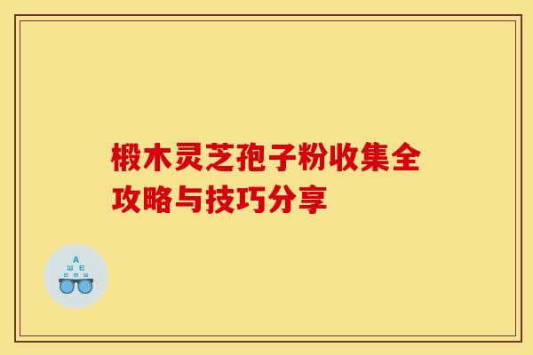 椴木灵芝孢子粉收集全攻略与技巧分享