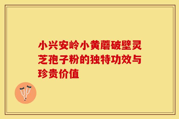 小兴安岭小黄蘑破壁灵芝孢子粉的独特功效与珍贵价值