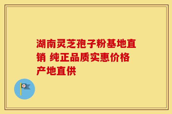 湖南灵芝孢子粉基地直销 纯正品质实惠价格产地直供