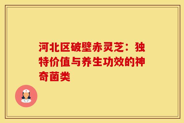 河北区破壁赤灵芝：独特价值与养生功效的神奇菌类
