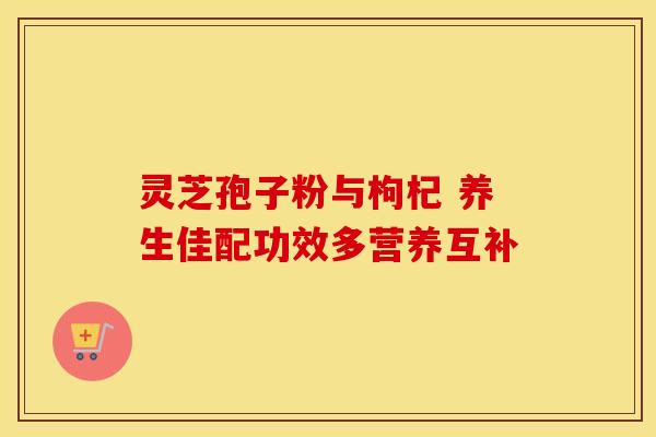 灵芝孢子粉与枸杞 养生佳配功效多营养互补