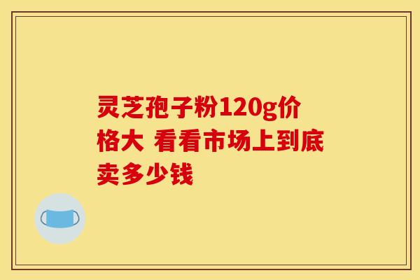 灵芝孢子粉120g价格大 看看市场上到底卖多少钱