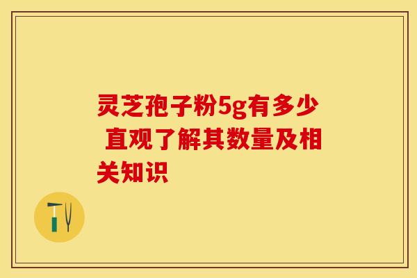灵芝孢子粉5g有多少 直观了解其数量及相关知识